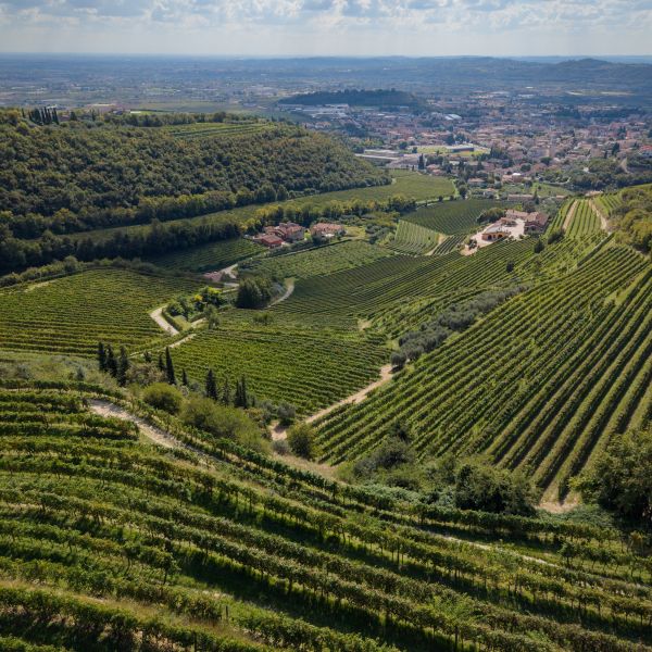 Cantina Coali — ingresso con giardino